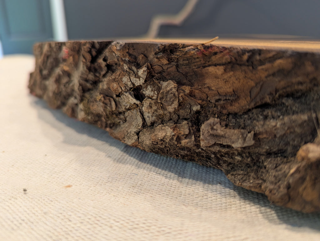 Black Walnut Slice