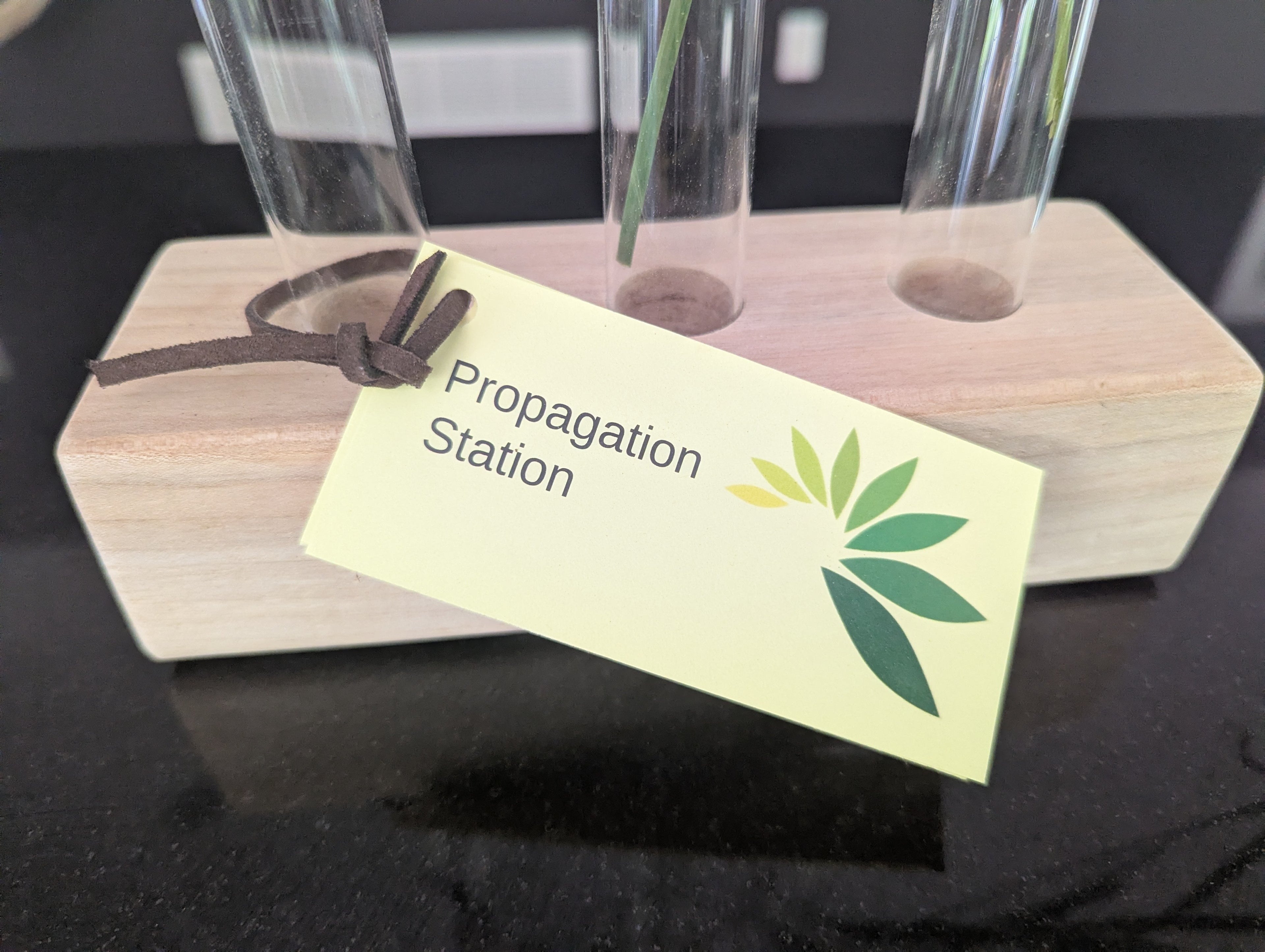 Propagation Station