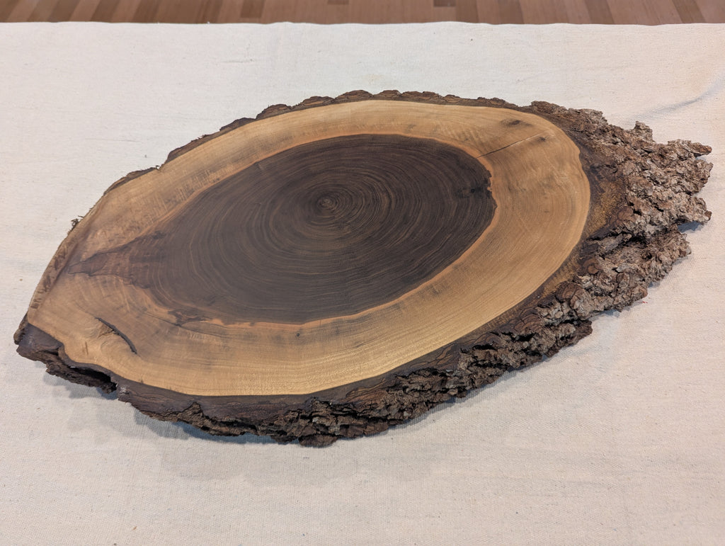 Black Walnut Slice