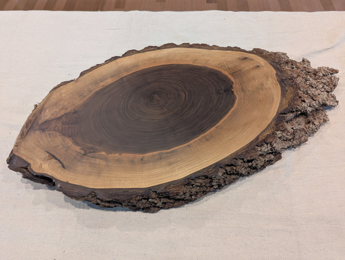 Black Walnut Slice