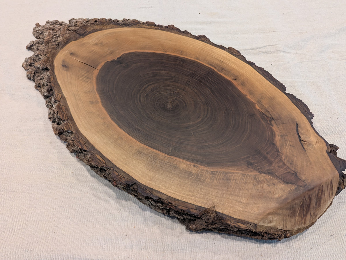 Black Walnut Slice