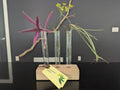 Propagation Station
