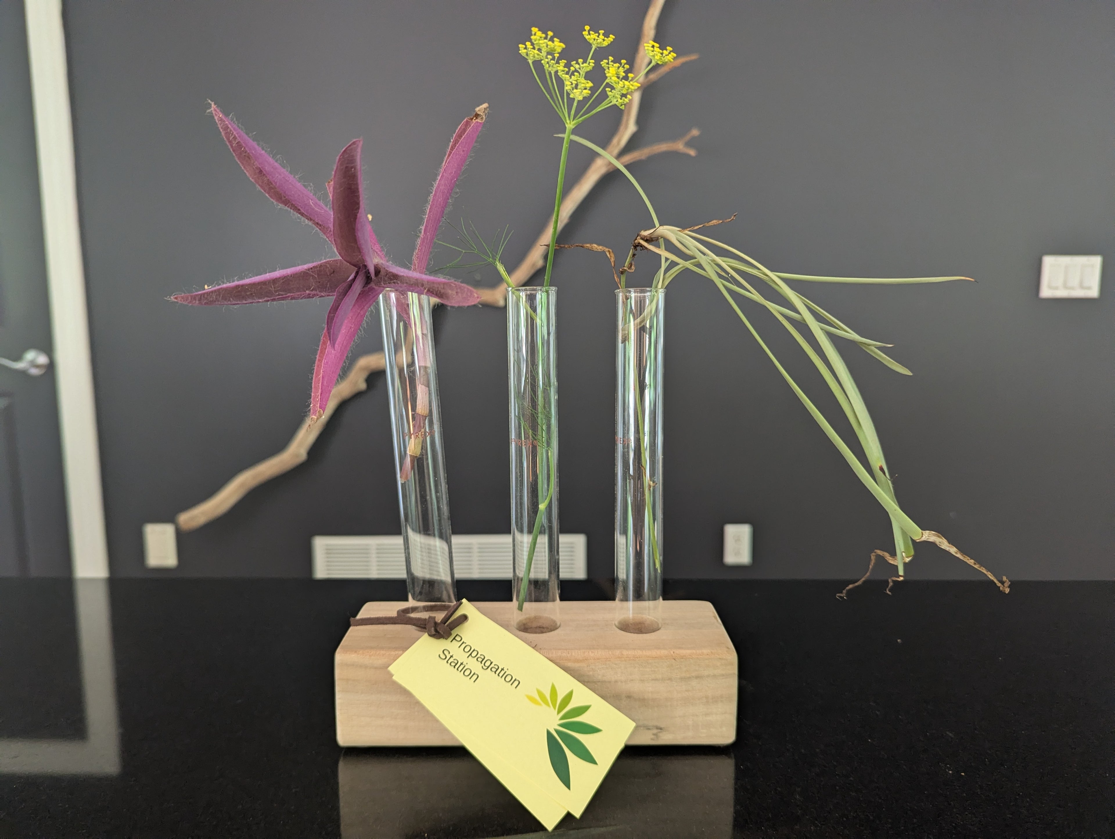 Propagation Station