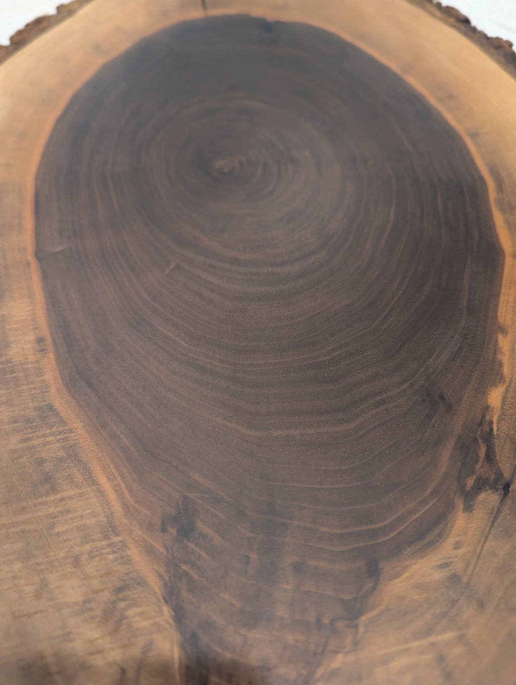 Black Walnut Slice